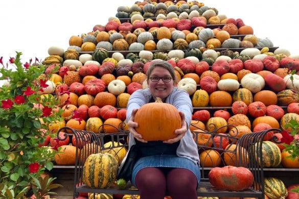 Herbstausflüge in Nordrhein-Westfalen