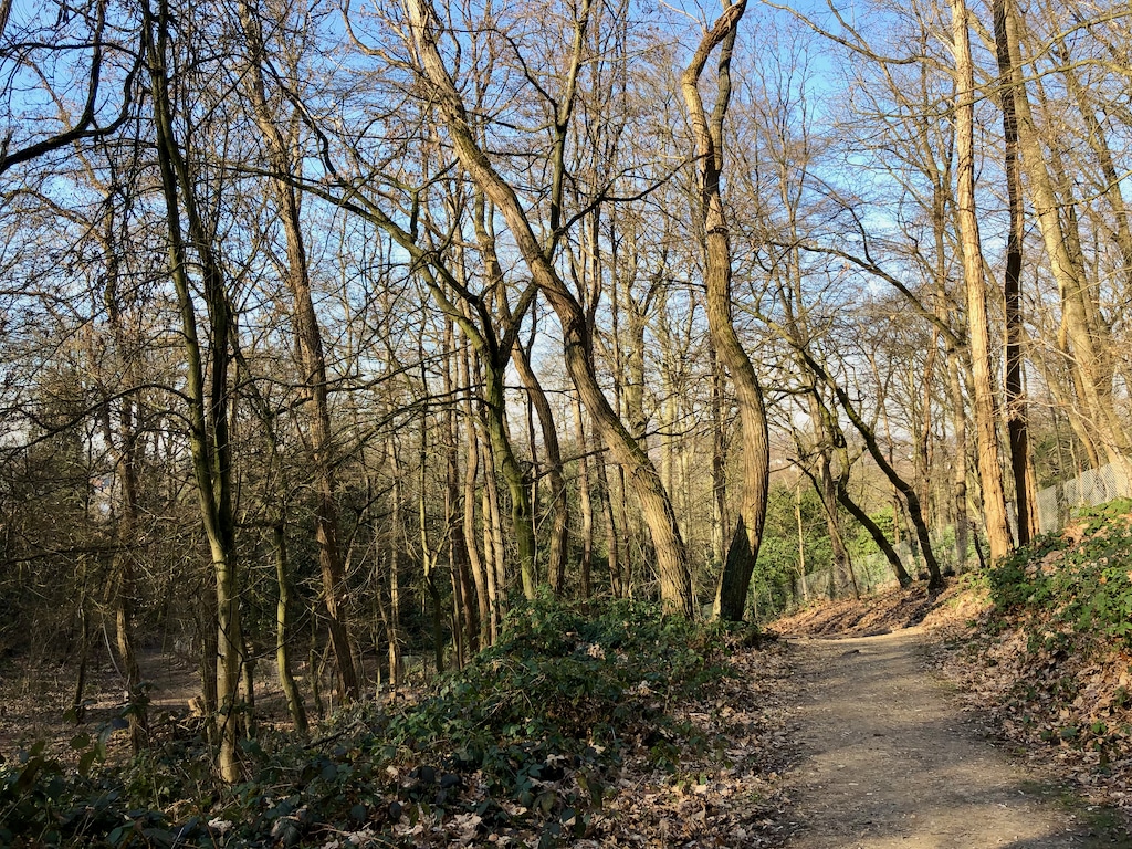 Die schönsten Parks, Wälder und Naturschutzgebiete in und um Düsseldorf