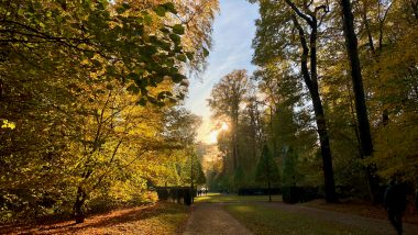 Die schönsten Parks, Wälder und Naturschutzgebiete in und um Düsseldorf