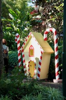 Weihnachten auf Madeira - von wirklich bunten Feiertagen!