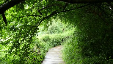 Ausflugstipps in und um Furth im Wald Wildpark Weg