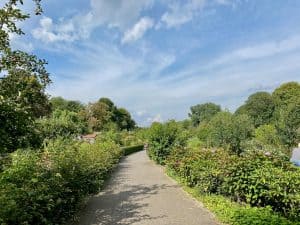 Eine Reise nach Bochum Sehenswürdigkeiten in und um die Ruhrmetropole