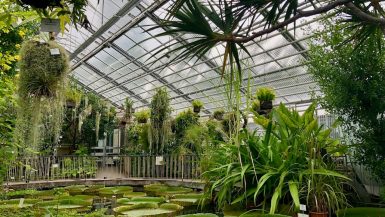 Botanische Gärten in Europa - meine Highlights