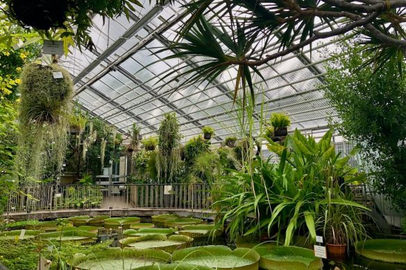 Botanische Gärten in Europa - meine Highlights