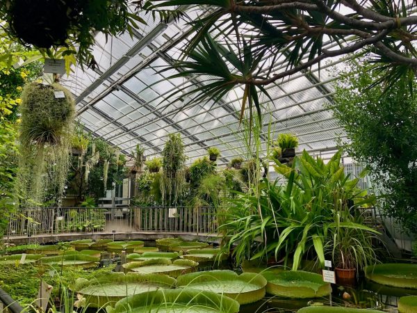Ausflugsziele in und um Jena Hoch hinaus in Thüringen