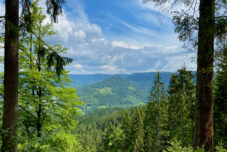 Mittlerer Schwarzwald: Ausflugsziele im Kinzigtal