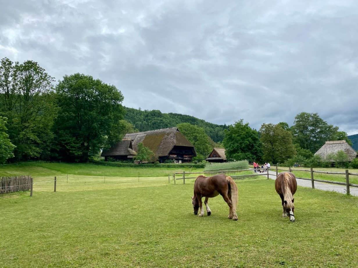 20 spannende Freilichtmuseen in Deutschland