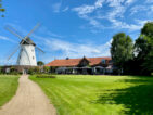 11 besondere Windmühlen in Deutschland