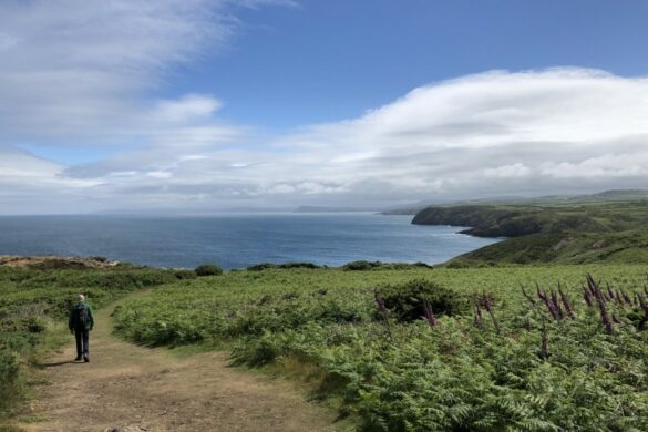 Wales Coast Path - 10 Jahre walisischer Küstenpfad und wir Wales Coast Path - 10 Jahre walisischer Küstenpfad und wir