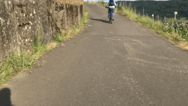 Moselromantik mit dem E-Bike und Weingenuss in den Lieser Bergen