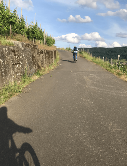 Moselromantik mit dem E-Bike und Weingenuss in den Lieser Bergen