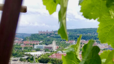 Ein Wochenende in Würzburg: Wein, Barock und ganz viel Lebensfreude