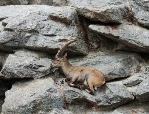Lohnt sich die Innsbruck Card?