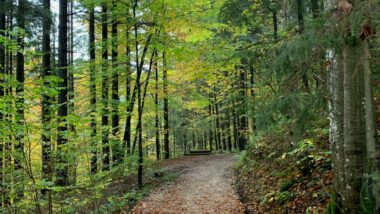 Ein Herbsturlaub in Inzell: Sehenswürdigkeiten am Rande der Alpen