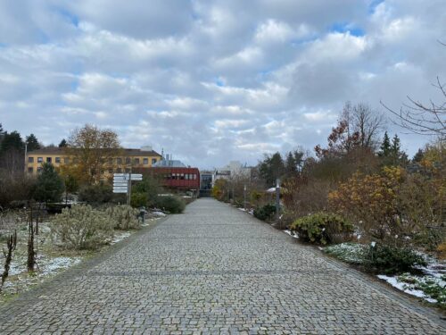 23 schöne Botanische Gärten in Deutschland (mit Gewächshäusern)