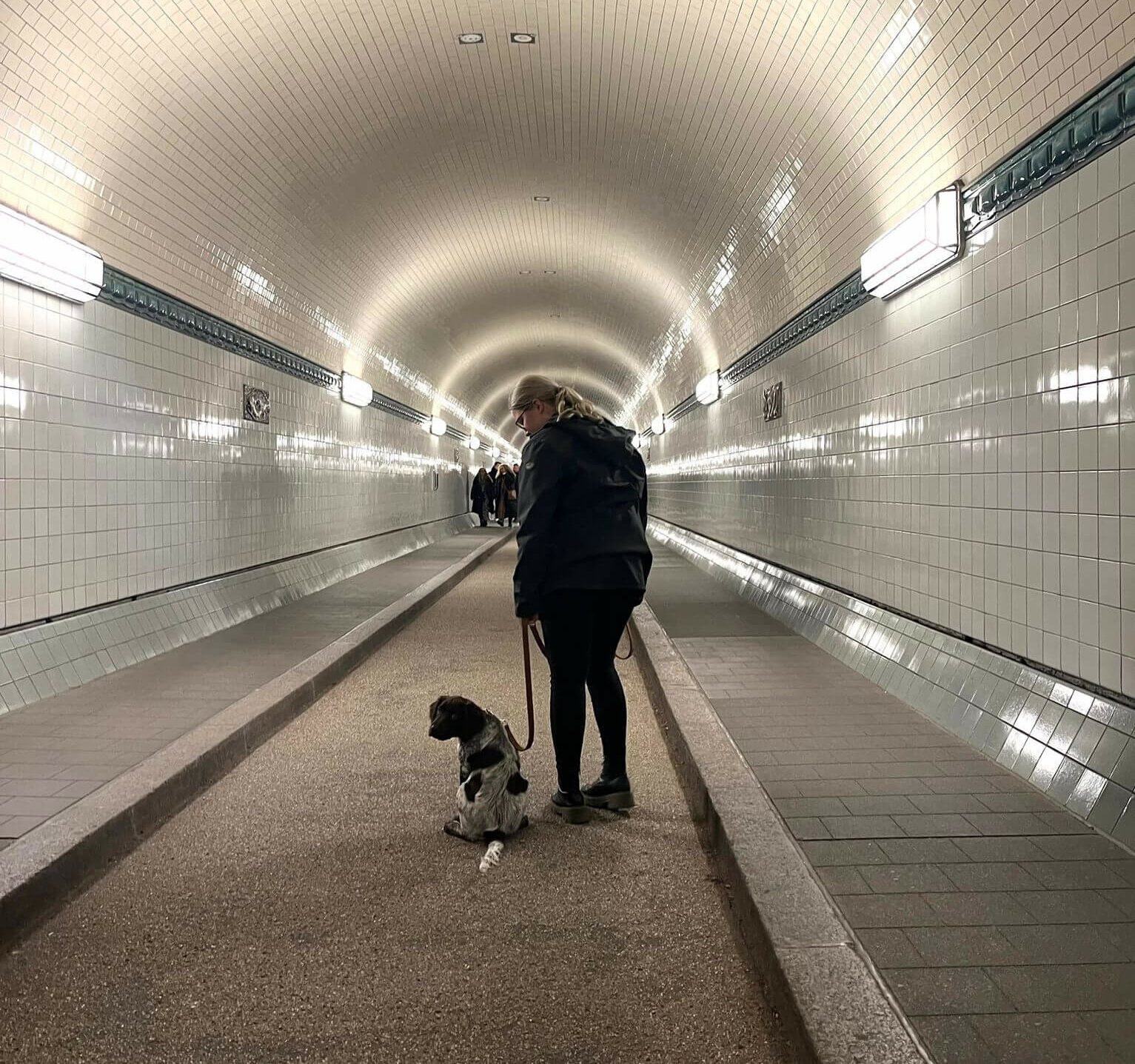 Mit Hund in Hamburg unterwegs - Mädelsurlaub mal anders!