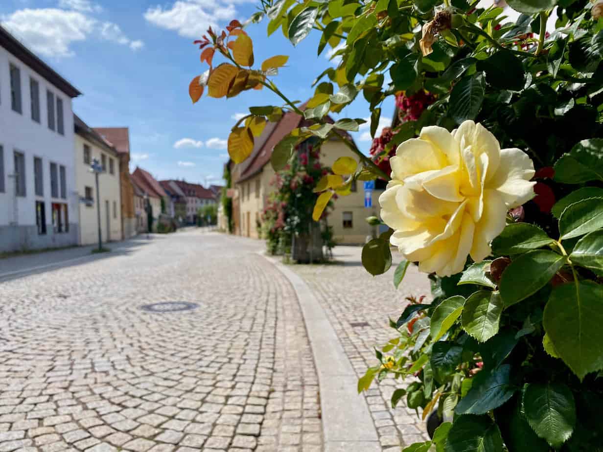 Geheimtipp im Harz: Ein Wochenende im Mansfelder Land & im Südharz Geheimtipp im Harz: Ein Wochenende im Mansfelder Land & im Südharz