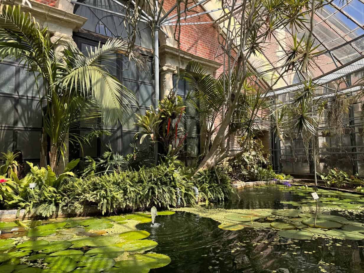 Botanische Gärten in Europa - meine Highlights Botanische Gärten in Europa - meine Highlights