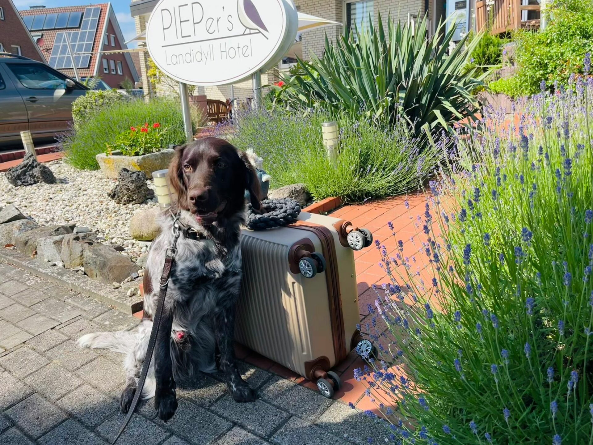 Ein erholsamer Kurzurlaub im PIEPer´s Landidyll Hotel in Bad Laer