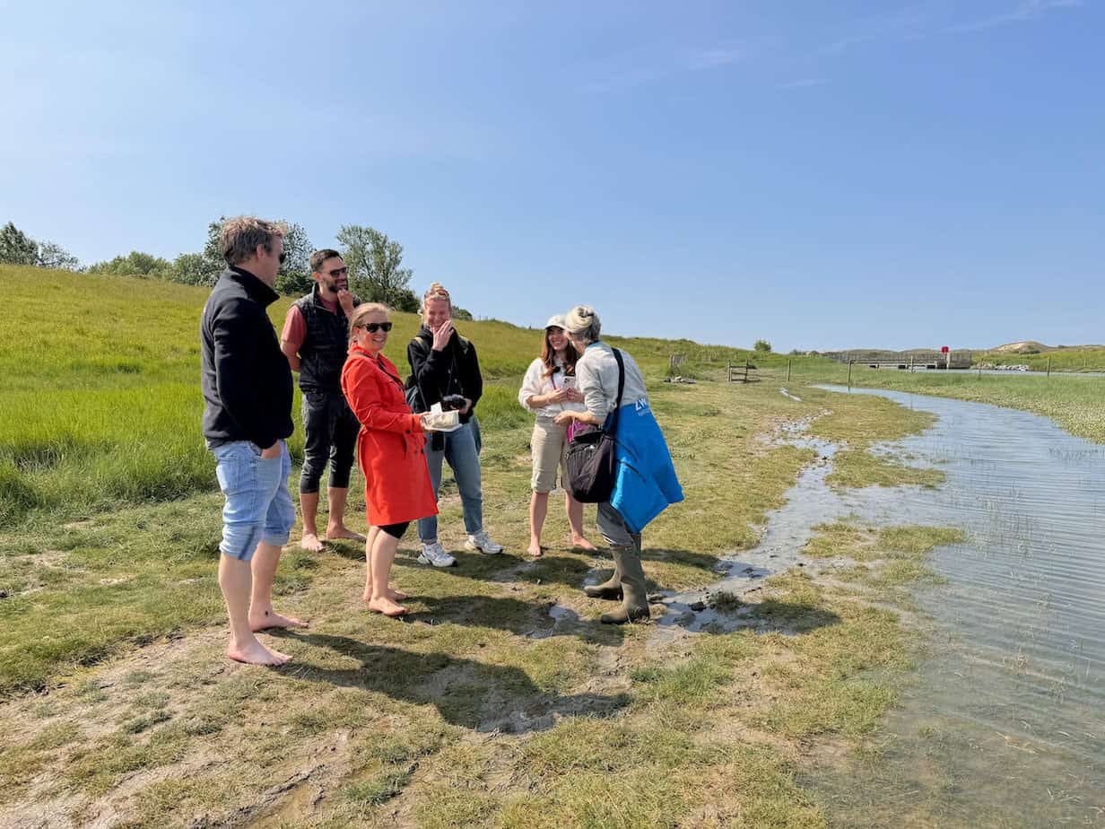 Outdoorerlebnisse in der Region Zwin - Flandern mal anders