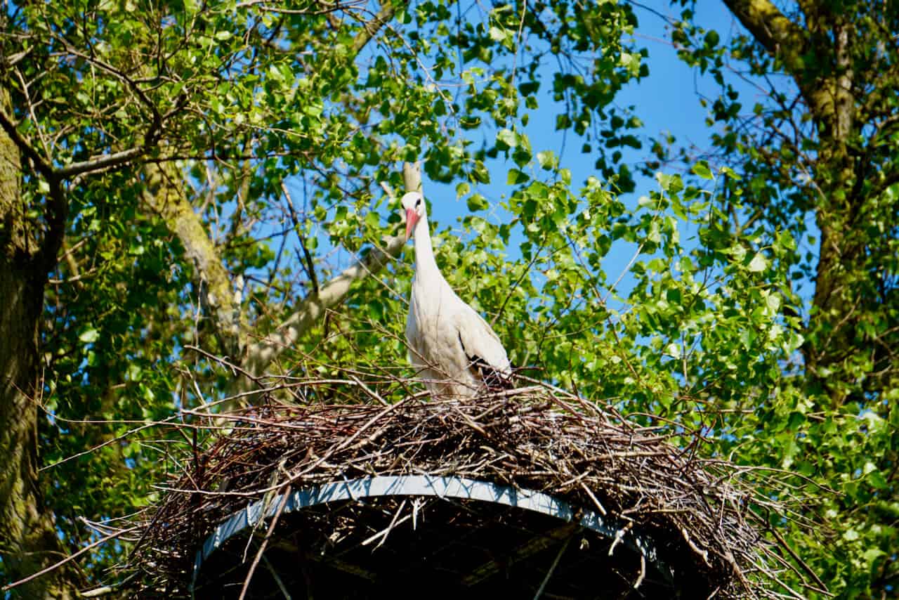 Outdoorerlebnisse in der Region Zwin - Flandern mal anders