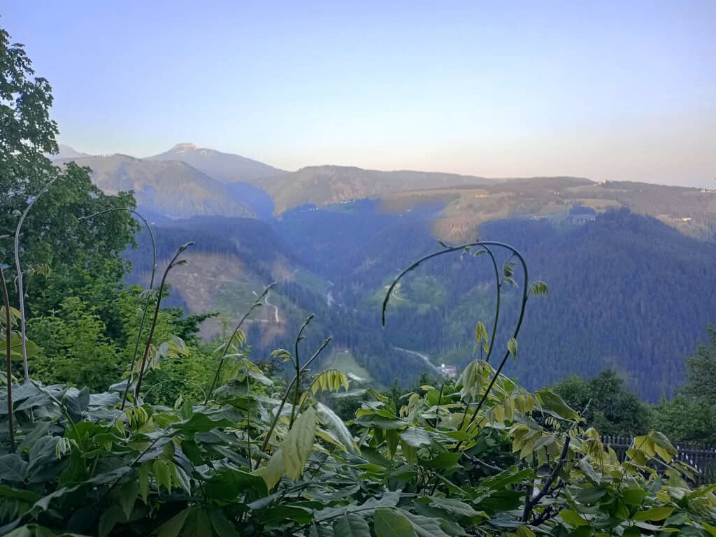 Urlaub auf dem Bauernhof - einmal anders in Südtirol