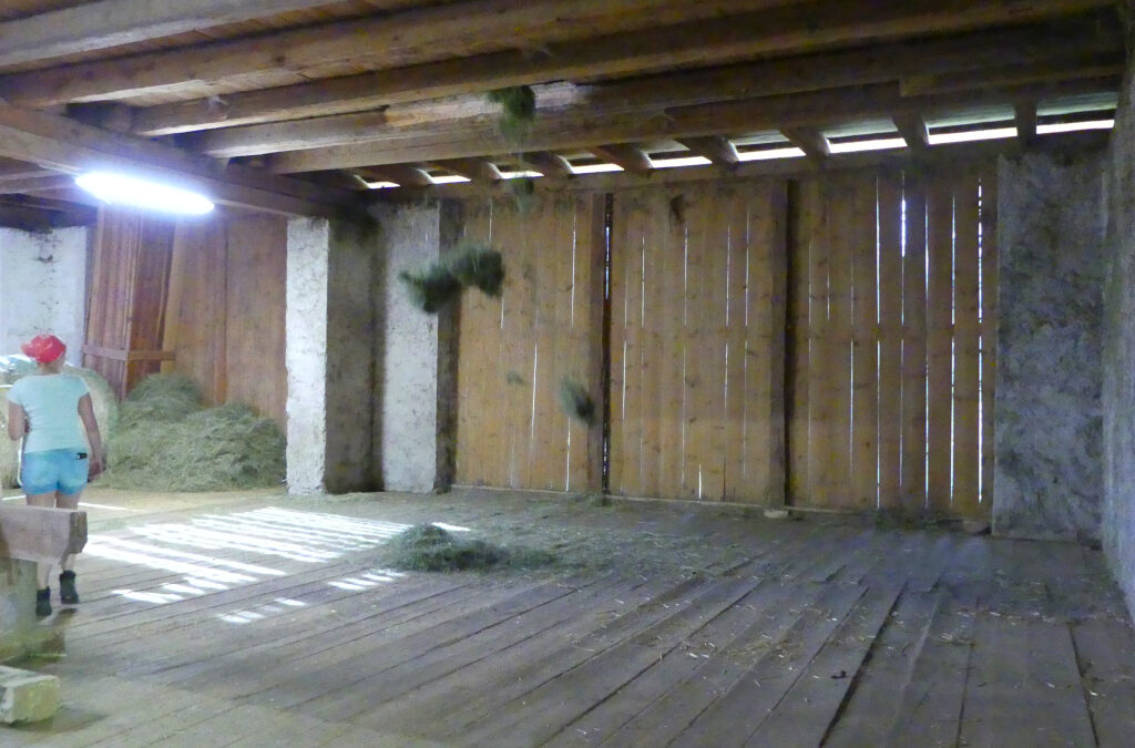 Urlaub auf dem Bauernhof - einmal anders in Südtirol