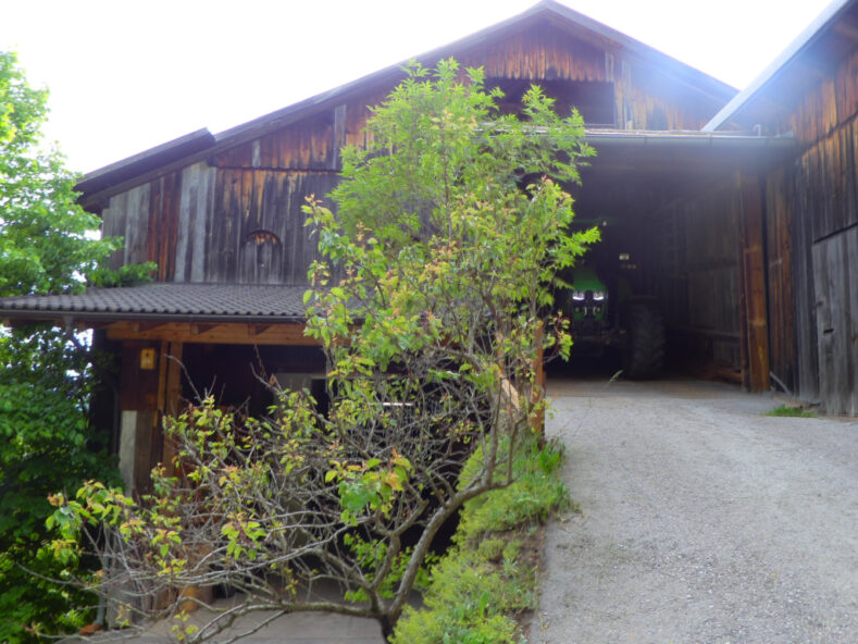 Urlaub auf dem Bauernhof - einmal anders in Südtirol