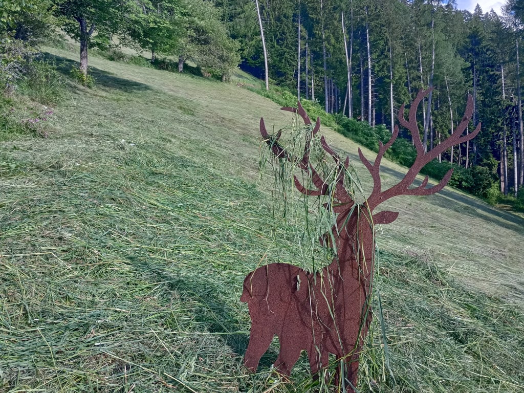 Urlaub auf dem Bauernhof - einmal anders in Südtirol