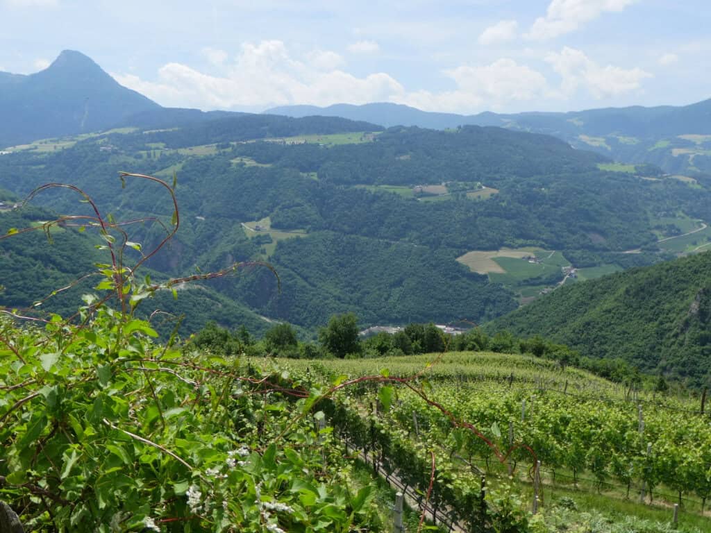 Urlaub auf dem Bauernhof - einmal anders in Südtirol