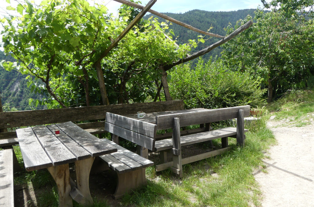 Urlaub auf dem Bauernhof - einmal anders in Südtirol