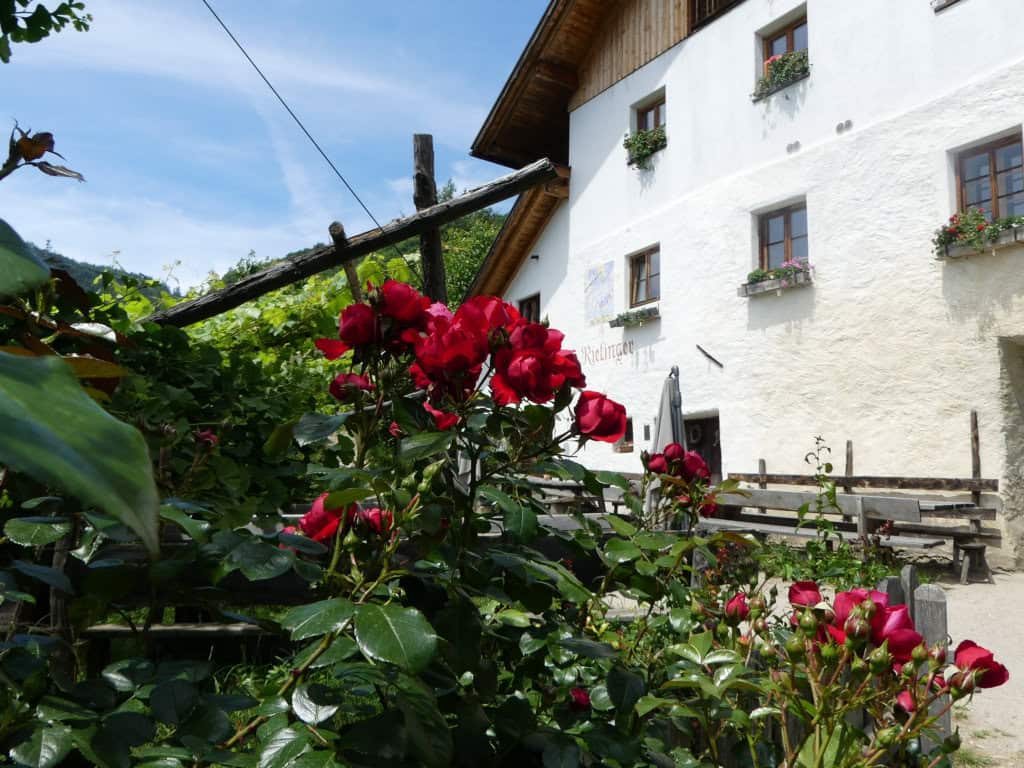 Urlaub auf dem Bauernhof - einmal anders in Südtirol