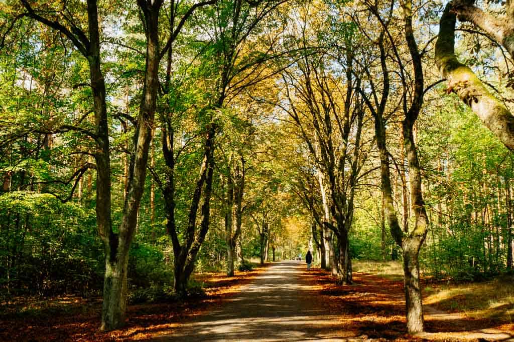 Indian Summer in Deutschland - Sehenswerte Orte für tolles Herbstfeeling