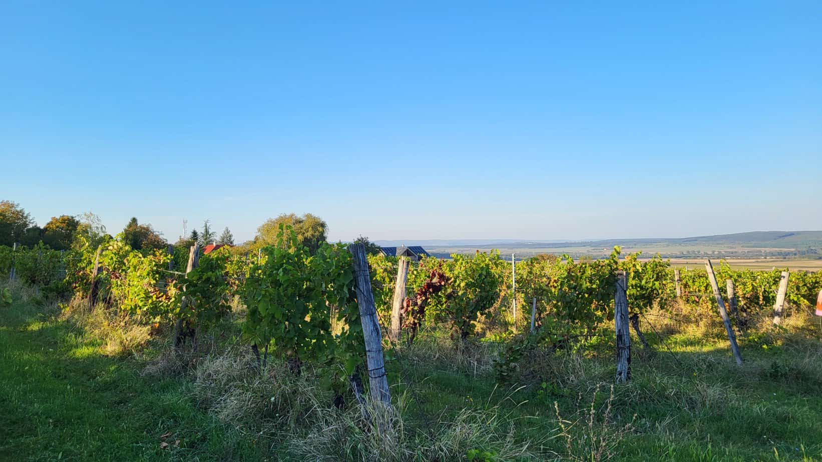 Ein unvergessliches Wochenende in Sopron - Wandern, Wohlfühlen und ungarische Idylle