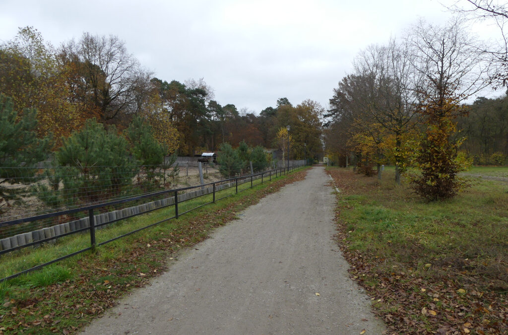 Herbstspaziergang durch Fürstenwalde