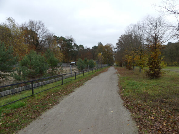 Herbstspaziergang durch Fürstenwalde