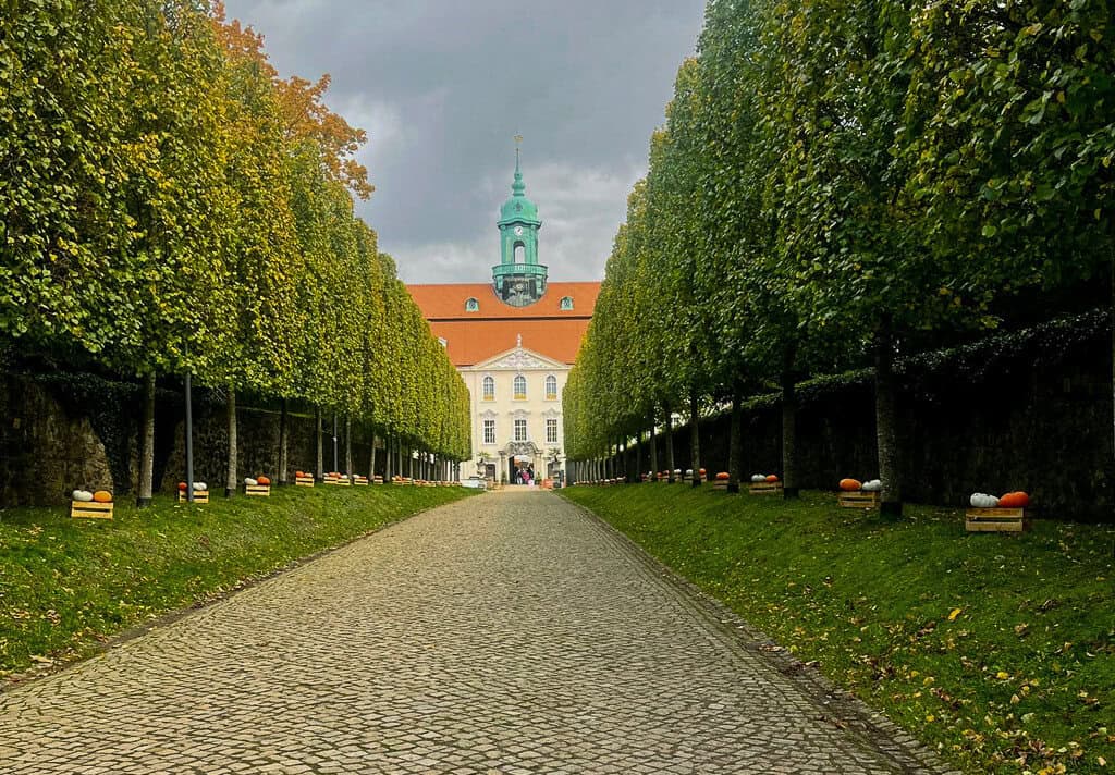 Chemnitz mit Hund - ein Wochenende in der Kulturhauptstadt