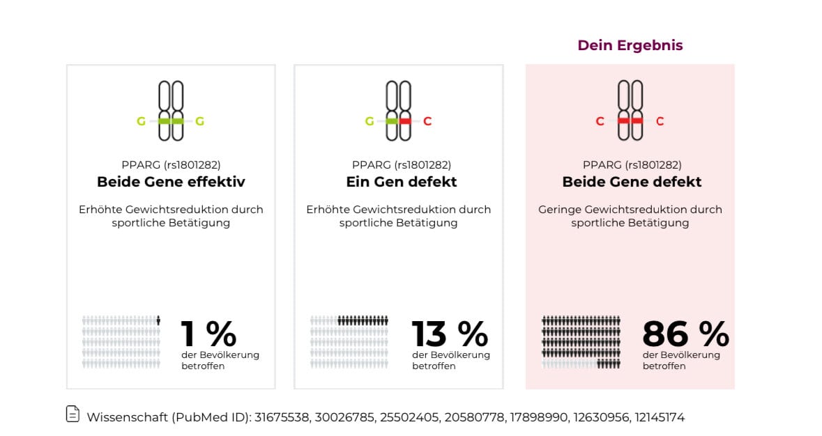 Ein Gentest zum Abnehmen? Meine Reise zu mehr Gesundheit