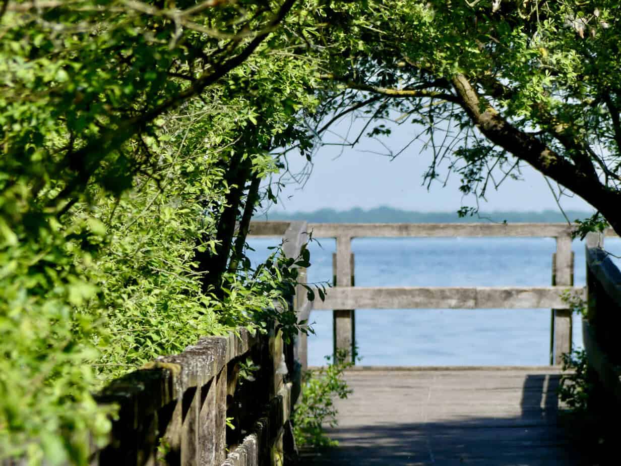 Ein Mädelswochenende am Steinhuder Meer Ein Mädelswochenende am Steinhuder Meer