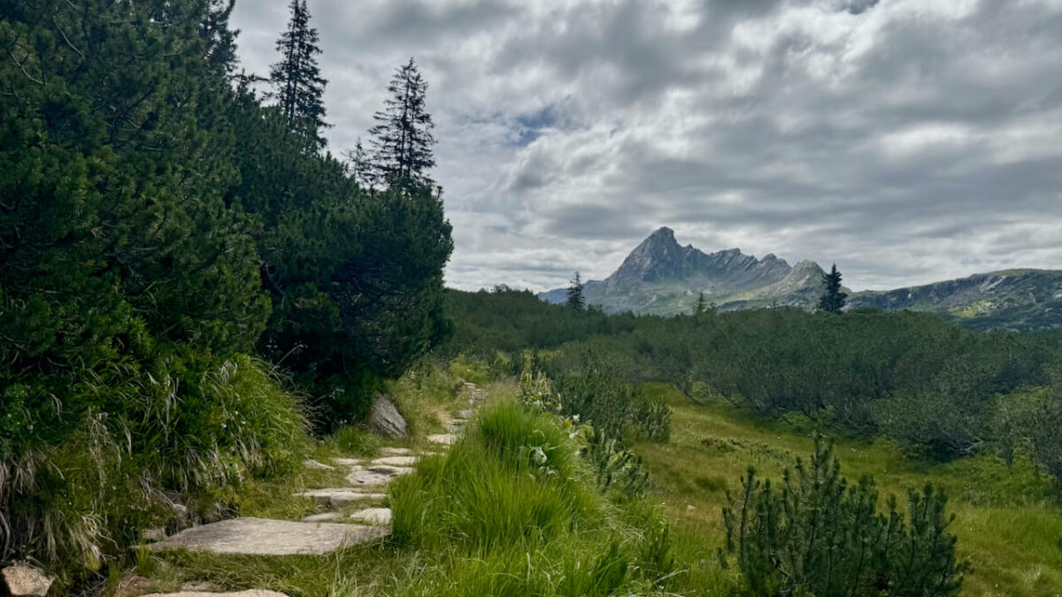 Montafon im Sommer: Eine nachhaltige Reise mit Wandern, Erlebnissen & Kees.