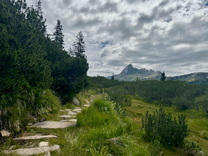 Montafon im Sommer: Eine nachhaltige Reise mit Wandern, Erlebnissen & Kees.