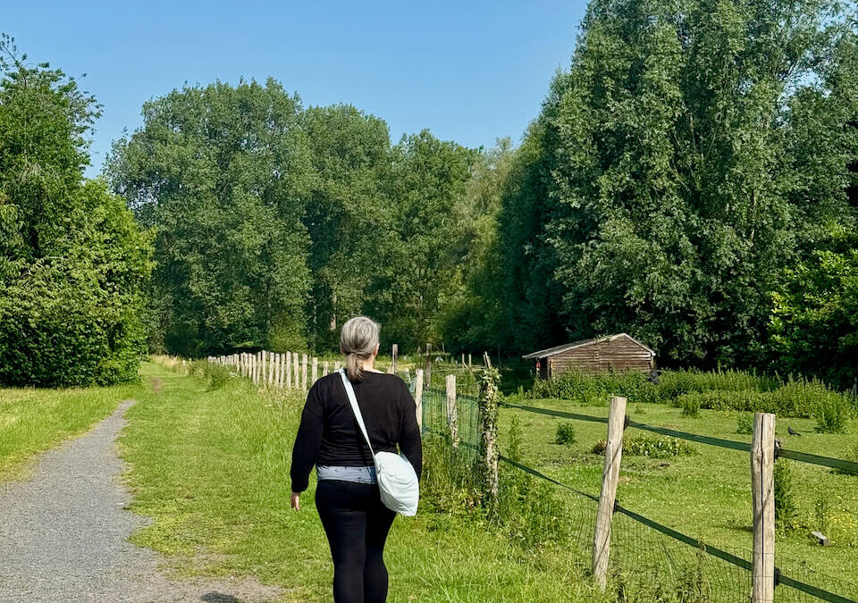 Eine Auszeit an der Leie - Geheimtipp unweit von Gent