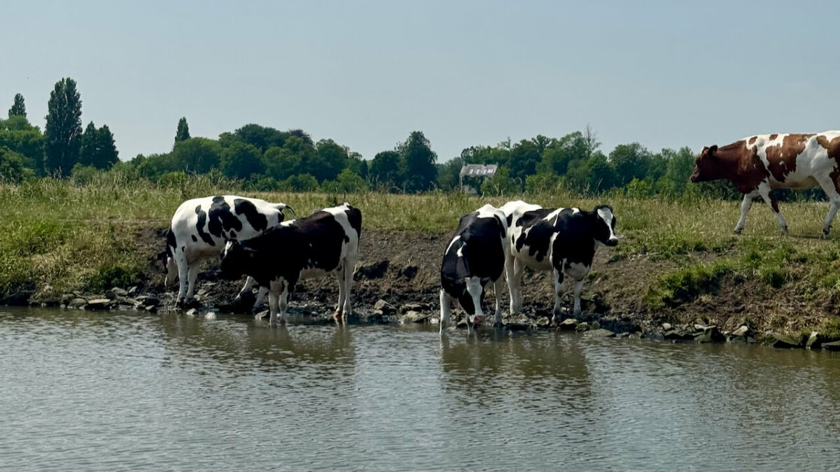 Eine Auszeit an der Leie - Geheimtipp unweit von Gent