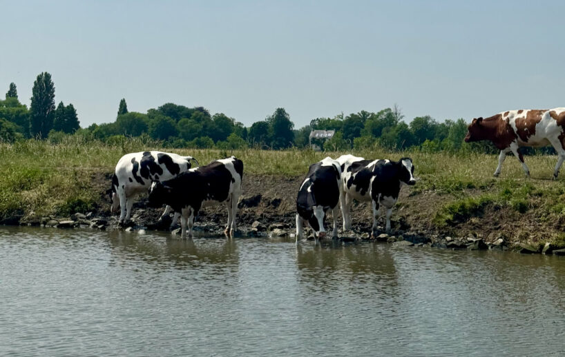 Eine Auszeit an der Leie - Geheimtipp unweit von Gent