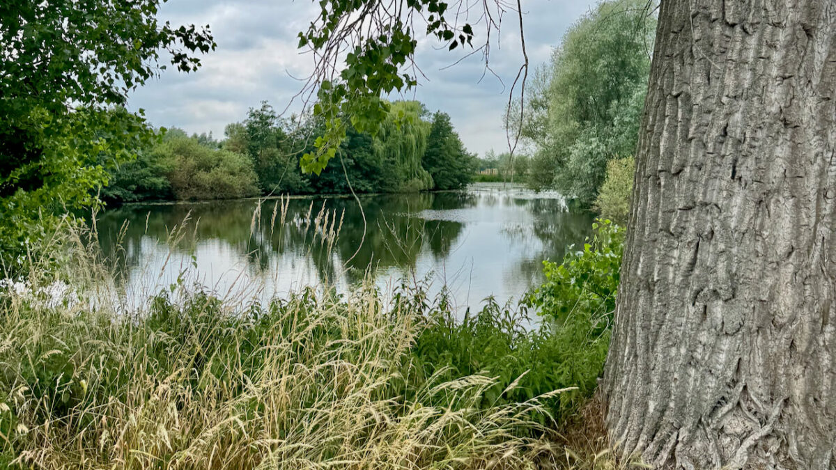 Eine Auszeit an der Leie - Geheimtipp unweit von Gent