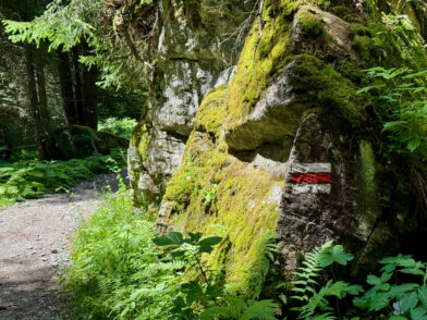 Montafon im Sommer: Eine nachhaltige Reise mit Wandern, Erlebnissen & Kees.