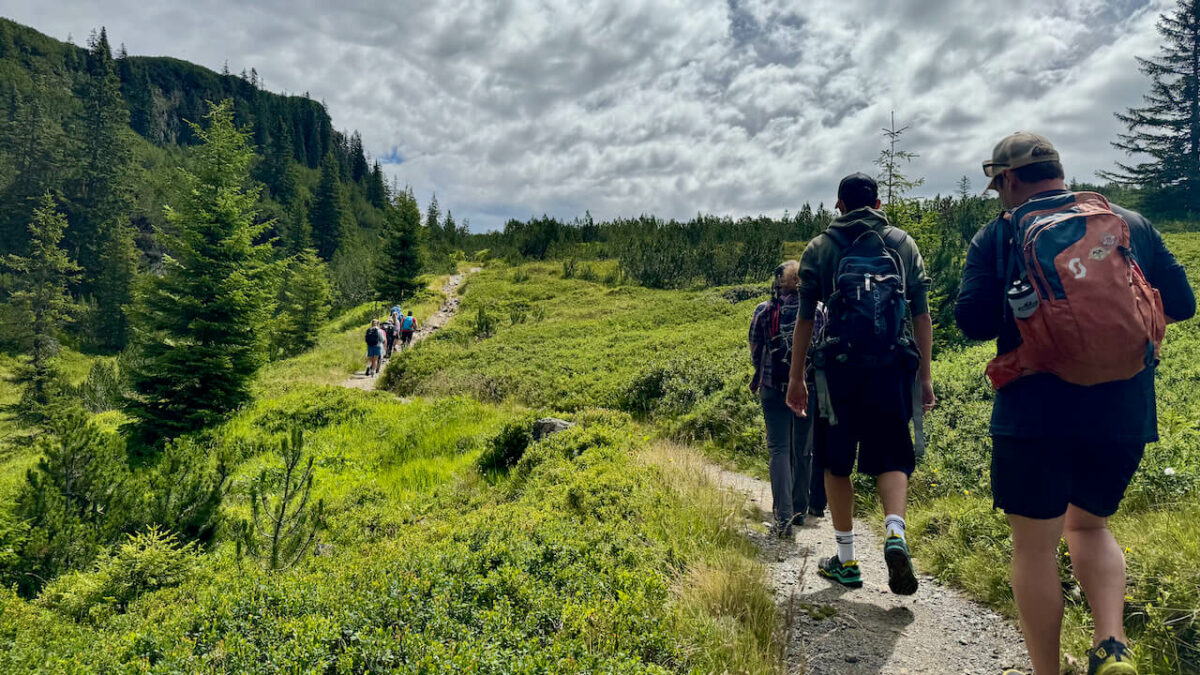 Montafon im Sommer: Eine nachhaltige Reise mit Wandern, Erlebnissen & Kees.