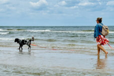 Usedom mit Hund - ein besonderer Mädelsurlaub