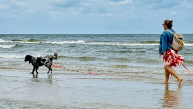 Usedom mit Hund - ein besonderer Mädelsurlaub