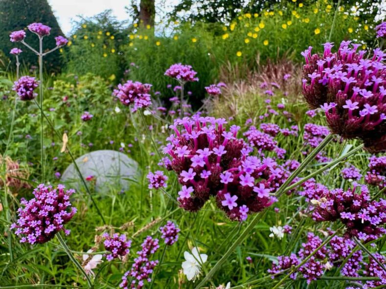 Mädelstour in Bayerisch-Schwaben zwischen Augsburg und Nördlingen